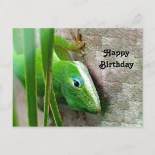 Carte Postale Photo d'anniversaire du lézard vert Anole de Carol