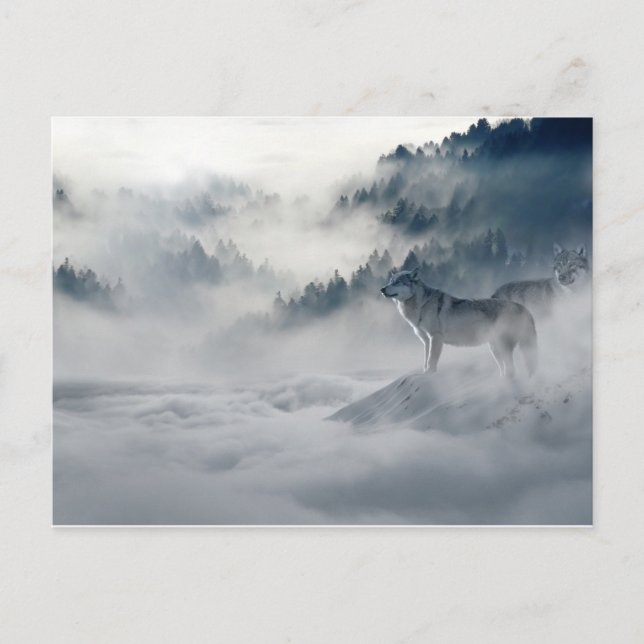 Carte Postale Photo d'art hivernal Wolfs magiques (Devant)