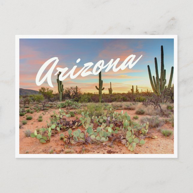 Carte postale photo de cactus au coucher du soleil (Devant)