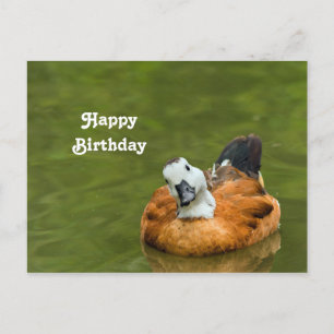 Carte Postale Photo de canard coloré mignon Anniversaire
