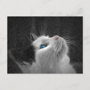 Carte Postale Photo de chat Blue Eyed