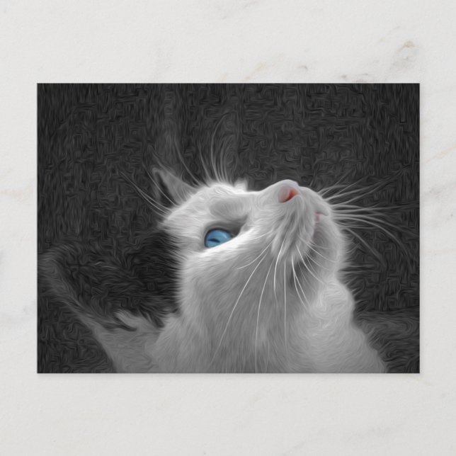 Carte Postale Photo de chat Blue Eyed (Devant)
