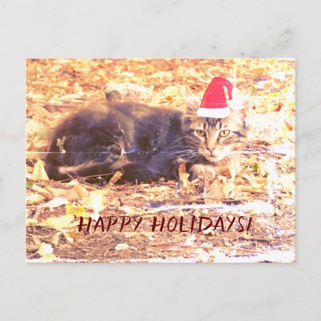 Carte postale Photo de chat Happy Holidays (Devant)