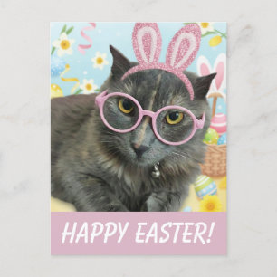 Carte Postale Photo de chaton mignon avec des oreilles de lapin