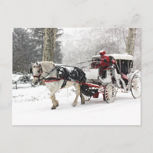 Carte Postale Photo de Cheval et Buggy dans Central Park Winter (Devant)