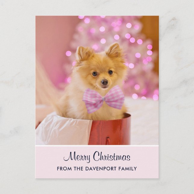 Carte Postale Photo de Cute Christmas Dog avec Pink Bow & Tree (Devant)