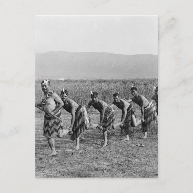 Carte Postale Photo de danse de guerre maorie (Devant)