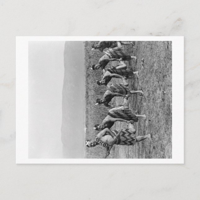 Carte Postale Photo de danse de guerre maorie (Devant)