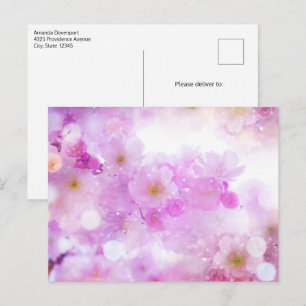 Carte Postale Photo de fleurs de cerisier rose
