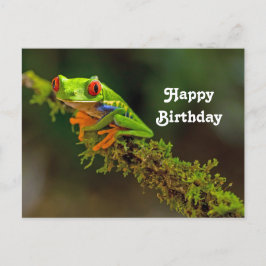 Carte Postale Photo de grenouille à yeux rouges pour anniversair