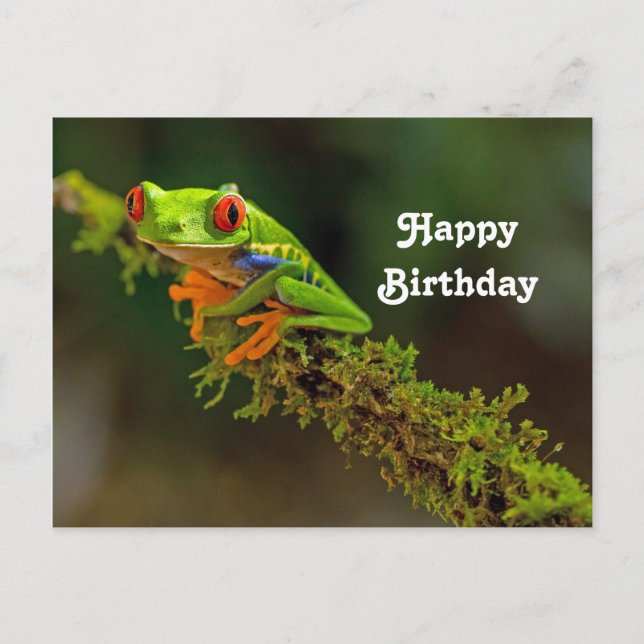 Carte Postale Photo de grenouille à yeux rouges pour anniversair (Devant)