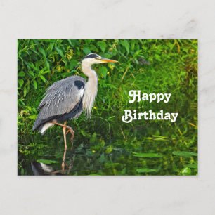 Carte Postale Photo de la faune du Grand Héron bleu Anniversaire