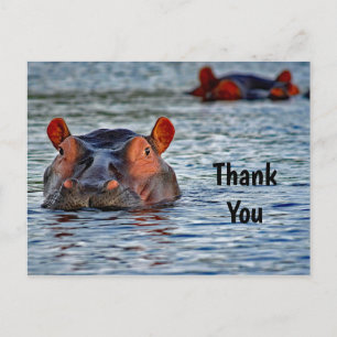 Carte Postale Photo de la faune hippopotame eau Merci