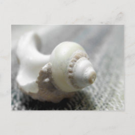 Carte Postale Photo de la mer de Black & White Beach