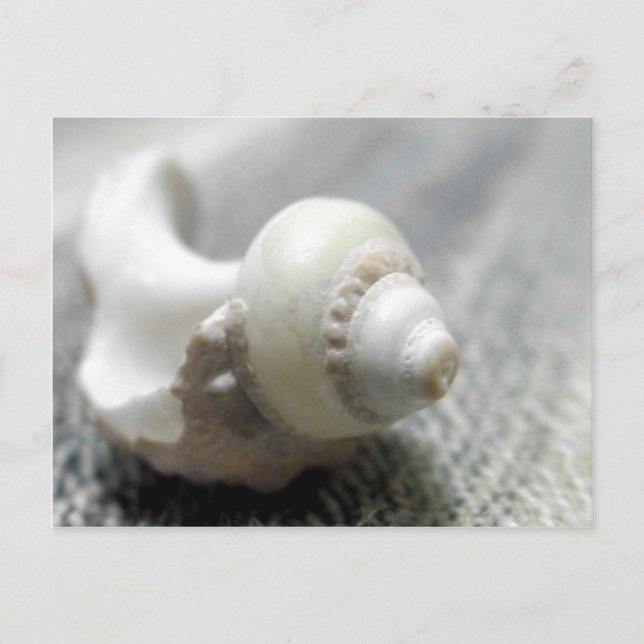 Carte Postale Photo de la mer de Black & White Beach (Devant)