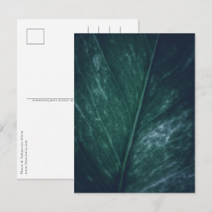 Carte Postale Photo de la nature de la feuille