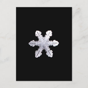 Carte Postale Photo de la véritable enneigement