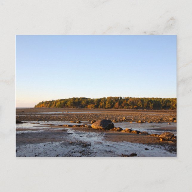 Carte Postale Photo de l'île du Maine Bar (Devant)