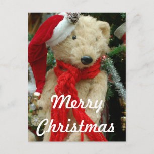 Carte postale photo de l'ours de Noël mignon