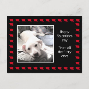 Carte Postale Photo de mignon chien blanc avec meilleur ami papa