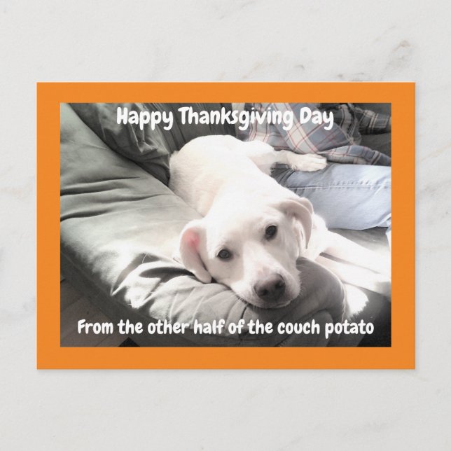 Carte Postale Photo de mignon chien blanc avec papa Thanksgiving (Devant)