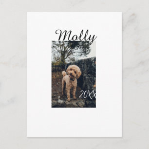 Carte Postale Photo de naissance d'animal de compagnie chien cha