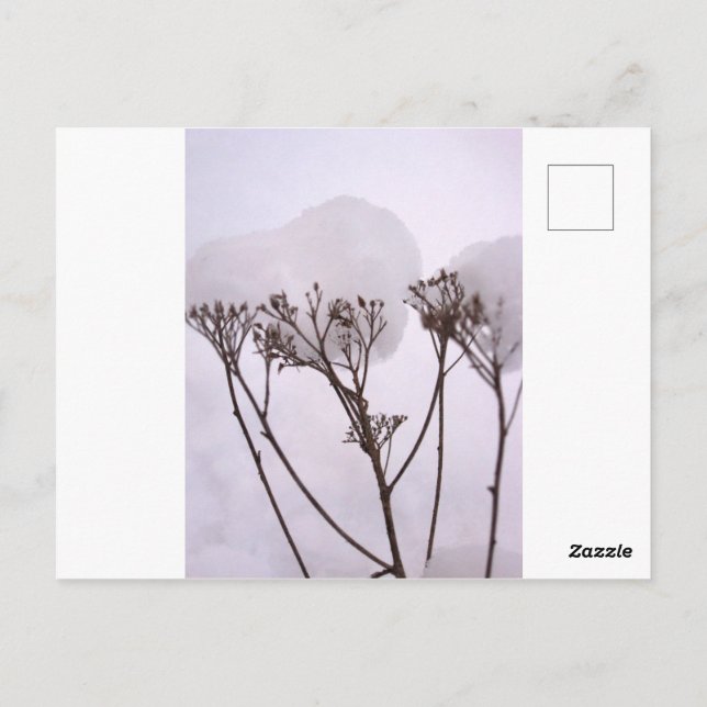 Carte postale photo de neige hivernale (Dos)