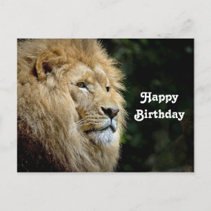 Carte Postale Photo de profil de lion anniversaire faune