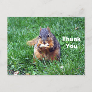 Carte Postale Photo de remerciement de l'écureuil mignon avec ca