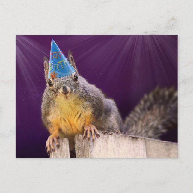 Carte Postale Photo d'écureuil d'anniversaire (Devant)