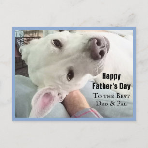 Carte Postale Photo du chien mignon Best Papa Pal Ever Blue Deni