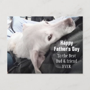Carte Postale Photo du meilleur papa et de l'ami Mete Dog