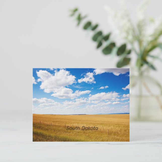 Carte Postale photo du paysage rural du Dakota du Sud (Debout devant)