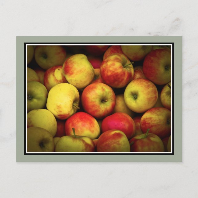 Carte Postale Photo d'un boisseau de pommes qui mûrissent (Devant)