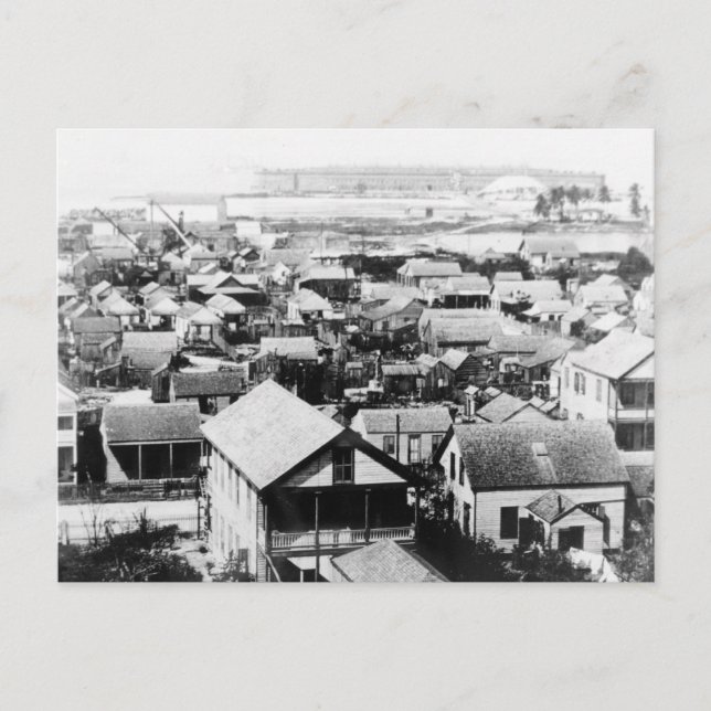 Carte Postale Photo historique Key West 1895 (Devant)