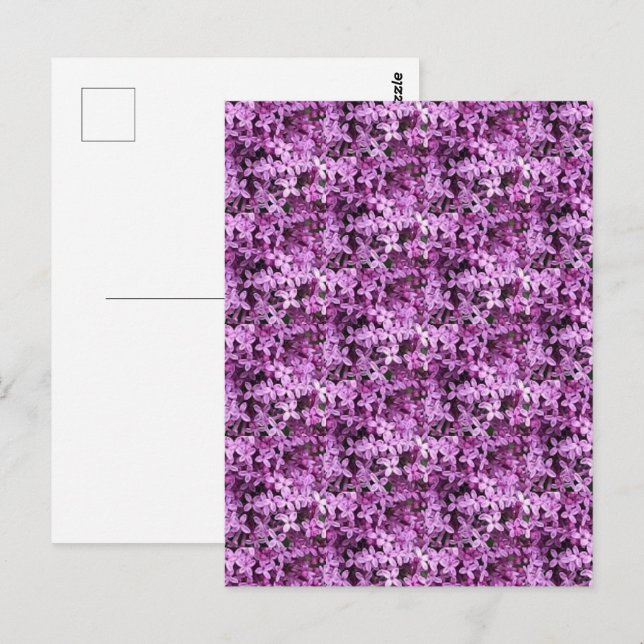 Carte Postale Photo Lilac | Demi-goutte Carrelée | (Devant / Derrière)