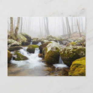 Carte postale Photo Misty Rocky Stream