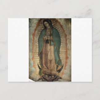 Carte Postale Photo originale de Notre-Dame de Guadalupe