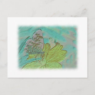Carte Postale Photo Papillon