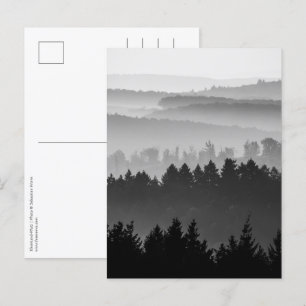 Carte Postale Photo paysage noir et blanc de la forêt