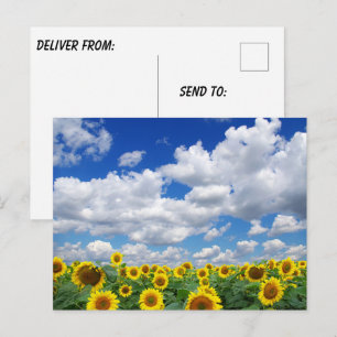 Carte Postale Photo personnalisé sur mesure 