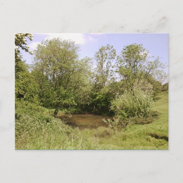 Carte postale photo Pond caché (Devant)