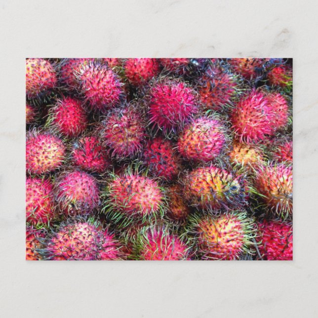 Carte postale photo Rambutans (Devant)