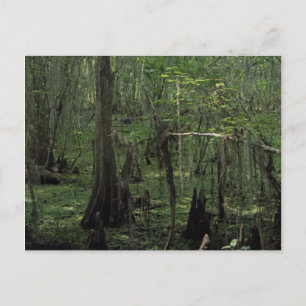 Carte Postale Photo Serenity Personnalisée Louisia