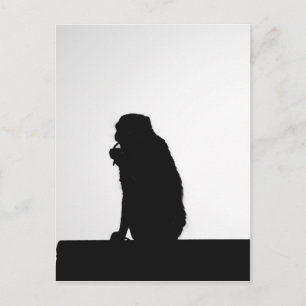 Carte Postale Photo silhouette du singe flottant