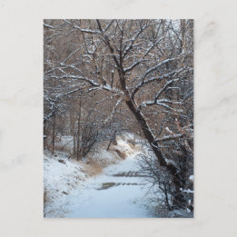 Carte postale photo SnowPath Winter