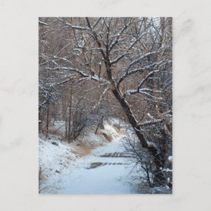 Carte postale photo SnowPath Winter