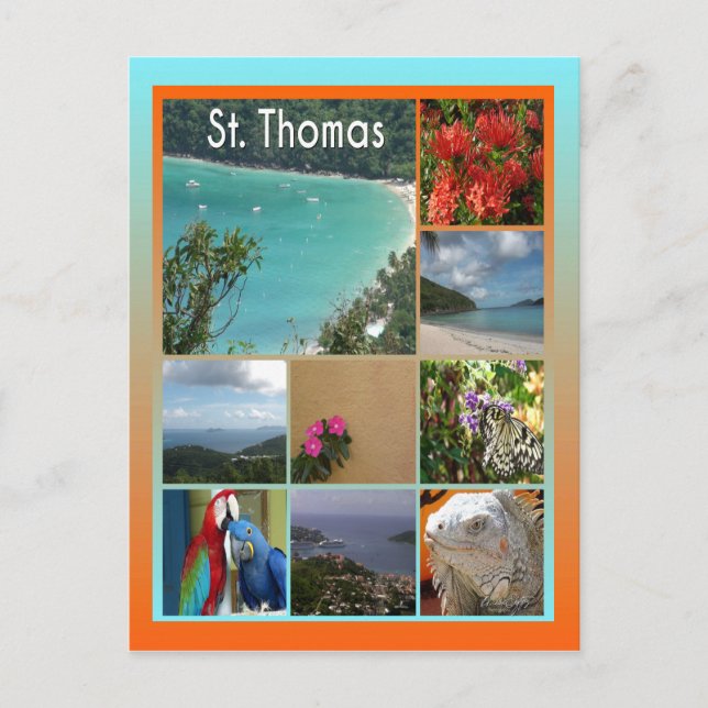 Carte Postale Photo St. Thomas 6119 (Devant)