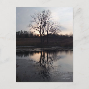 Carte postale photo Sunset Reflections