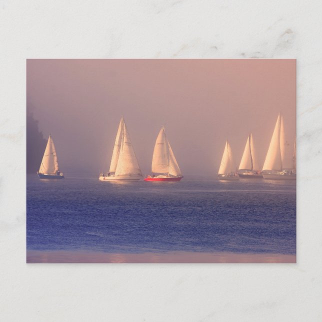 Carte Postale Photo Sunset Sailboats (Devant)